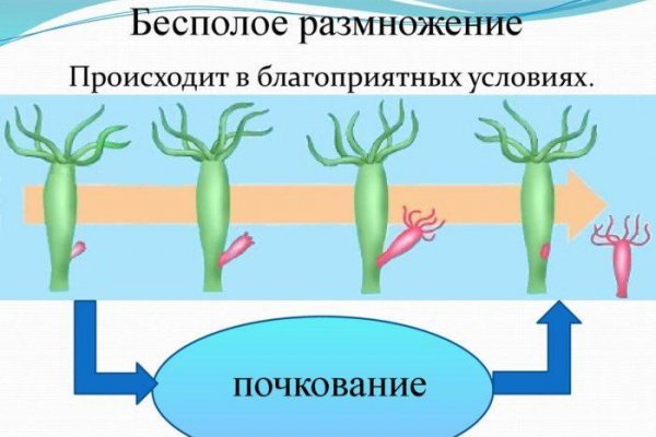 Долгое ожидание перевода от обменника на меге